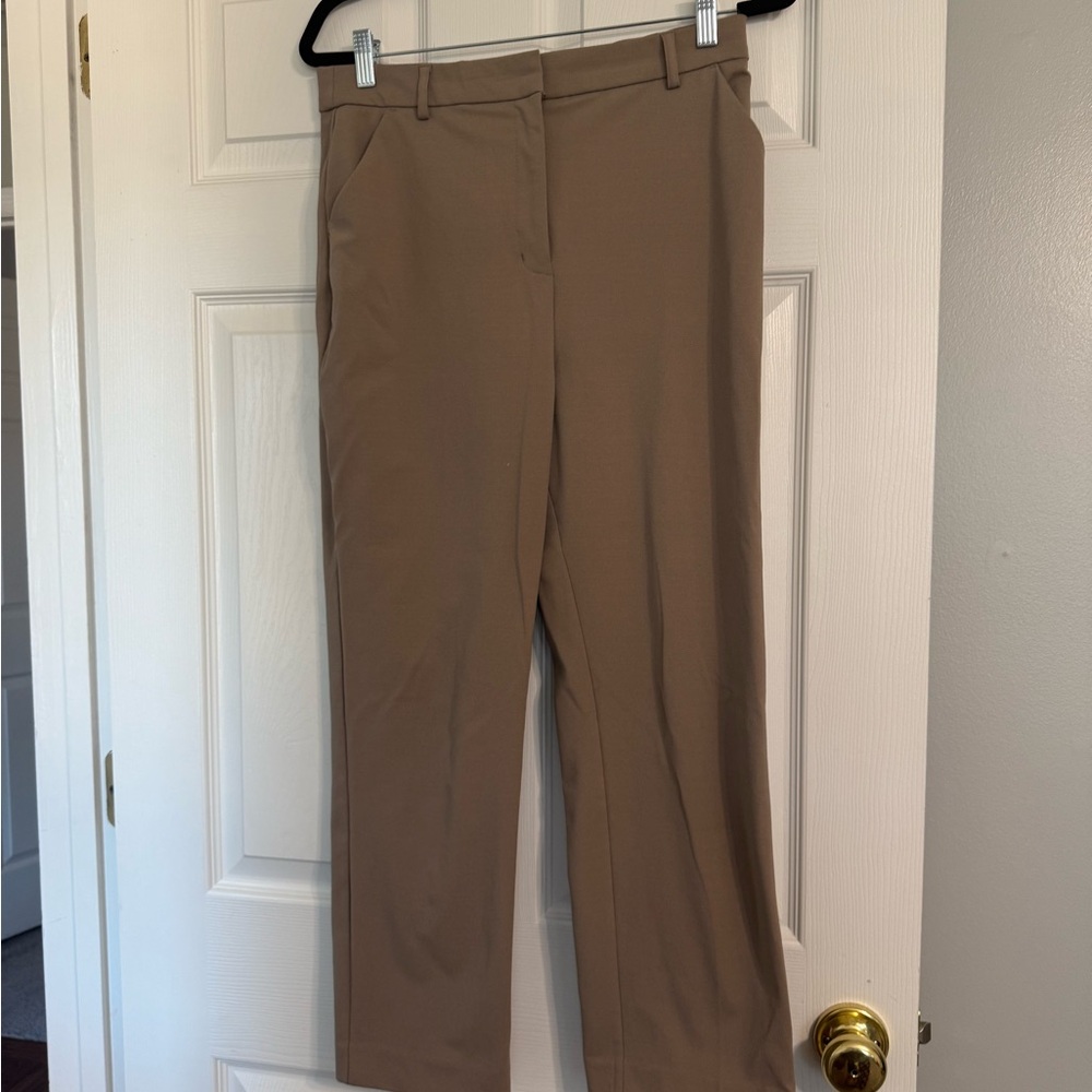 Express Classic Tan Women's Pants